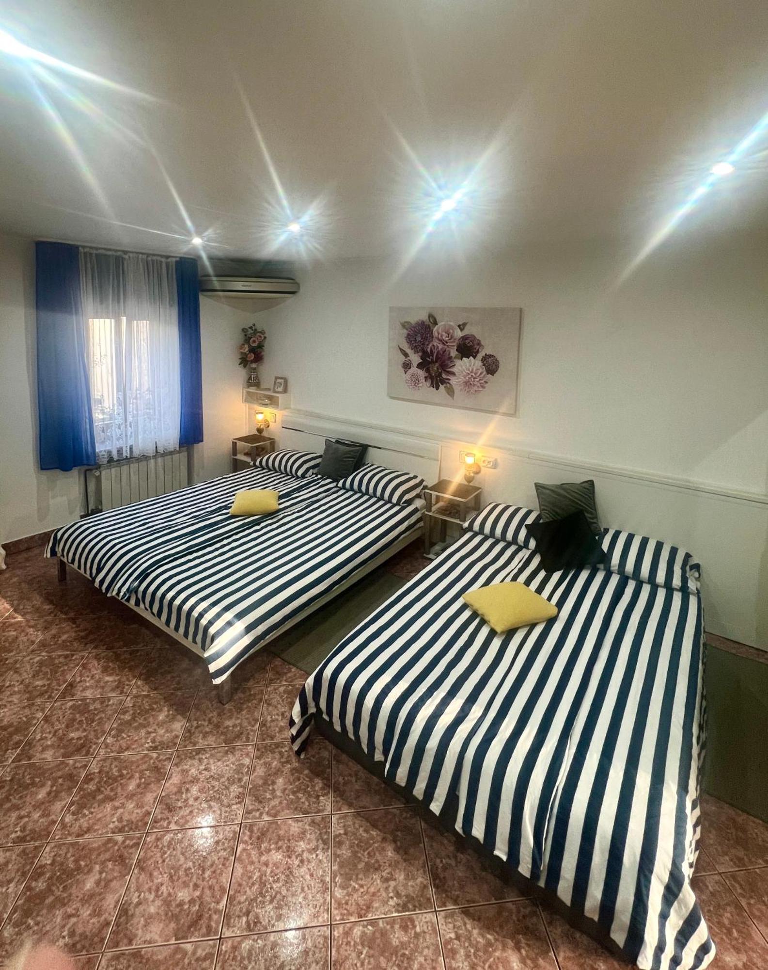 Apartment Dajcic